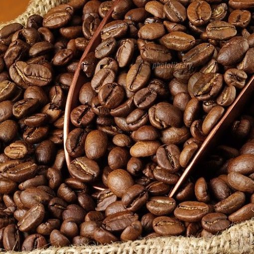 Mexikó Altura 100% arabica kávé  (10 gr)