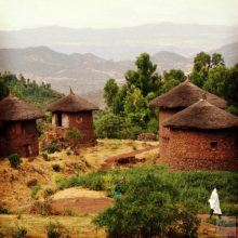 Etiópia Harrar 100% arabica kávé  (10 gr)