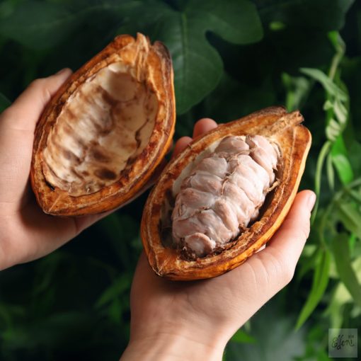 2025.  november 21. 19 óra  Mogyoró, dió, csokoládé!