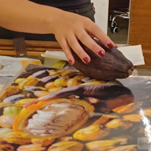 2026. február 28. 19 óra  A magyar csokoládéművészet világszínvonalú! 