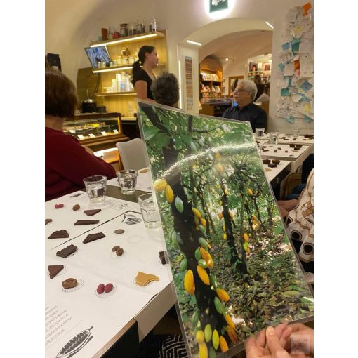 2026. február 28. 19 óra  A magyar csokoládéművészet világszínvonalú! 