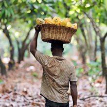 2026.június 19. 19 óra  Perutól Madagaszkárig - ízutazás a Föld körül