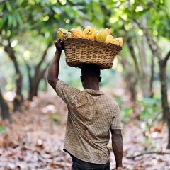   2026.június 19. 19 óra  Perutól Madagaszkárig - ízutazás a Föld körül